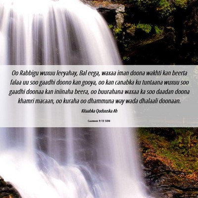Picture 06 - Caamoos 9:13 SOM - Oo Rabbigu wuxuu leeyahay, Bal eega, waxaa iman - Bible Verse Picture