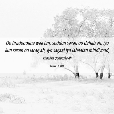Picture 06 - Cesraa 1:9 SOM - Oo tiradoodiina waa tan, soddon saxan oo dahab - Bible Verse Picture