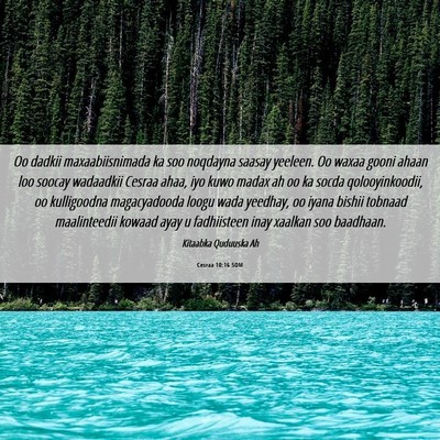 Picture 06 - Cesraa 10:16 SOM - Oo dadkii maxaabiisnimada ka soo noqdayna saasay - Bible Verse Picture