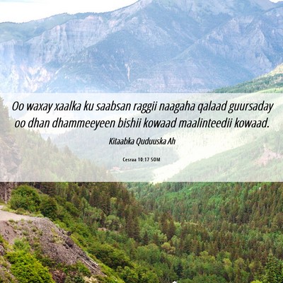 Picture 06 - Cesraa 10:17 SOM - Oo waxay xaalka ku saabsan raggii naagaha qalaad - Bible Verse Picture