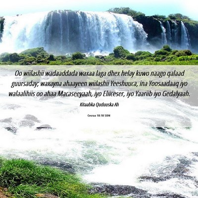 Picture 06 - Cesraa 10:18 SOM - Oo wiilashii wadaaddada waxaa laga dhex helay - Bible Verse Picture