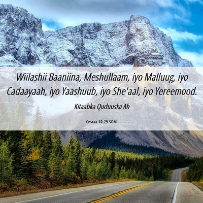 Picture 06 - Cesraa 10:29 SOM - Wiilashii Baaniina, Meshullaam, iyo Malluug, iyo - Bible Verse Picture