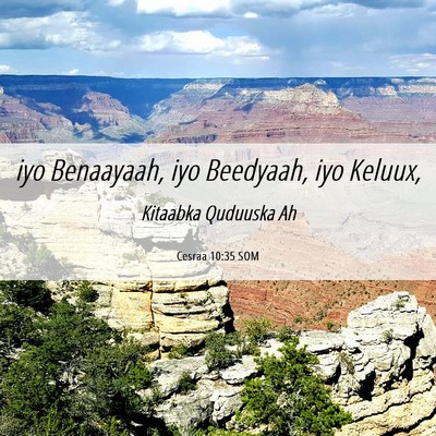 Picture 06 - Cesraa 10:35 SOM - iyo Benaayaah, iyo Beedyaah, iyo - Bible Verse Picture