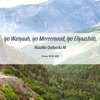 Picture 06 - Cesraa 10:36 SOM - iyo Wanyaah, iyo Mereemood, iyo - Bible Verse Picture