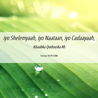 Picture 06 - Cesraa 10:39 SOM - iyo Shelemyaah, iyo Naataan, iyo - Bible Verse Picture