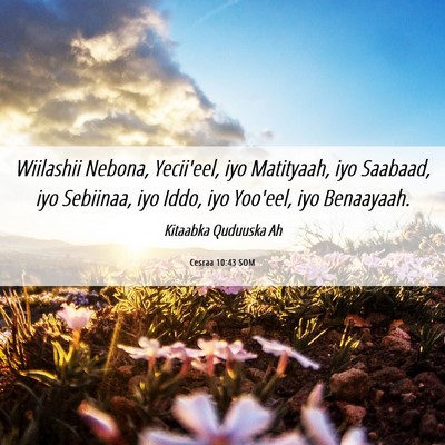 Picture 06 - Cesraa 10:43 SOM - Wiilashii Nebona, Yecii'eel, iyo Matityaah, iyo - Bible Verse Picture