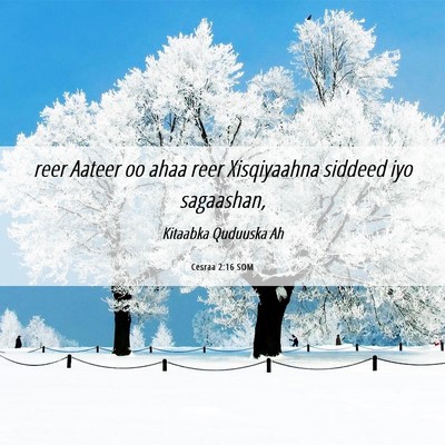 Picture 06 - Cesraa 2:16 SOM - reer Aateer oo ahaa reer Xisqiyaahna siddeed iyo - Bible Verse Picture