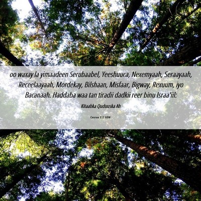 Picture 06 - Cesraa 2:2 SOM - oo waxay la yimaadeen Serubaabel, Yeeshuuca, - Bible Verse Picture