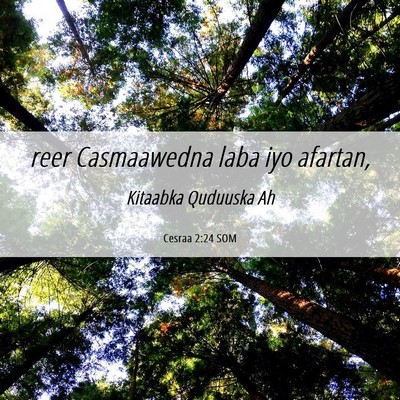 Picture 06 - Cesraa 2:24 SOM - reer Casmaawedna laba iyo - Bible Verse Picture
