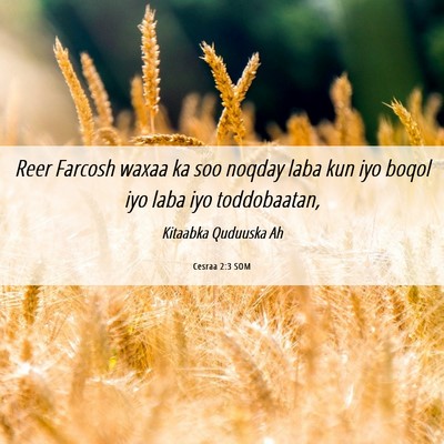 Picture 06 - Cesraa 2:3 SOM - Reer Farcosh waxaa ka soo noqday laba kun iyo - Bible Verse Picture