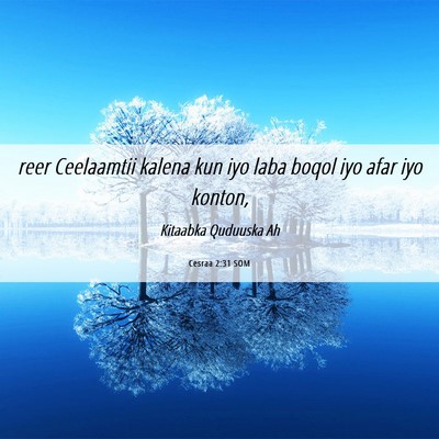 Picture 06 - Cesraa 2:31 SOM - reer Ceelaamtii kalena kun iyo laba boqol iyo - Bible Verse Picture