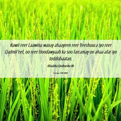 Picture 06 - Cesraa 2:40 SOM - Kuwii reer Laawina waxay ahaayeen reer Yeeshuuca - Bible Verse Picture