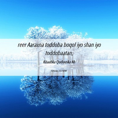 Picture 06 - Cesraa 2:5 SOM - reer Aaraxna toddoba boqol iyo shan iyo - Bible Verse Picture