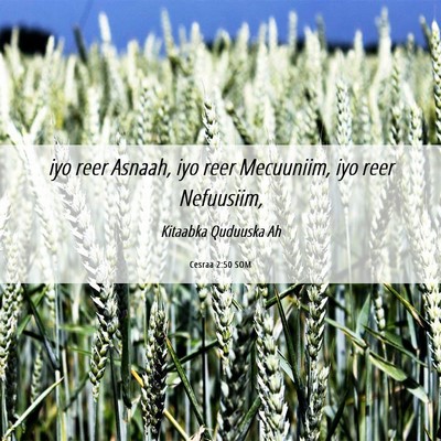 Picture 06 - Cesraa 2:50 SOM - iyo reer Asnaah, iyo reer Mecuuniim, iyo reer - Bible Verse Picture