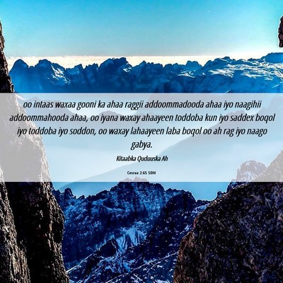 Picture 06 - Cesraa 2:65 SOM - oo intaas waxaa gooni ka ahaa raggii - Bible Verse Picture