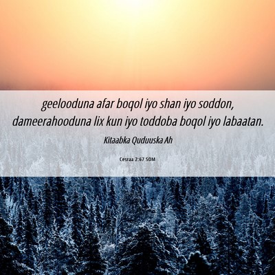 Picture 06 - Cesraa 2:67 SOM - geelooduna afar boqol iyo shan iyo soddon, - Bible Verse Picture