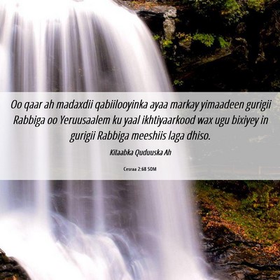 Picture 06 - Cesraa 2:68 SOM - Oo qaar ah madaxdii qabiilooyinka ayaa markay - Bible Verse Picture