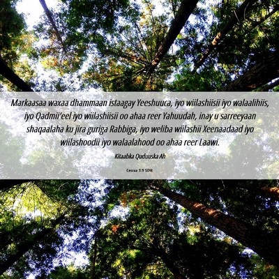 Picture 06 - Cesraa 3:9 SOM - Markaasaa waxaa dhammaan istaagay Yeeshuuca, iyo - Bible Verse Picture