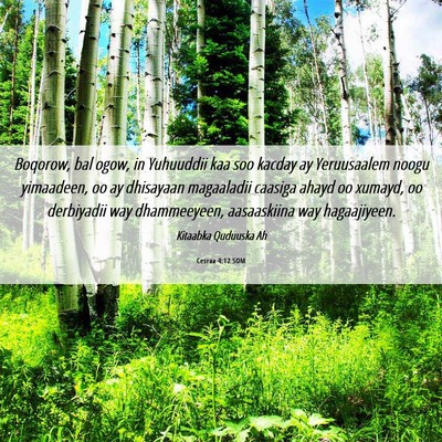 Picture 06 - Cesraa 4:12 SOM - Boqorow, bal ogow, in Yuhuuddii kaa soo kacday ay - Bible Verse Picture