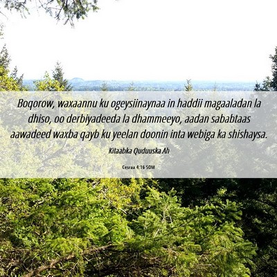 Picture 06 - Cesraa 4:16 SOM - Boqorow, waxaannu ku ogeysiinaynaa in haddii - Bible Verse Picture