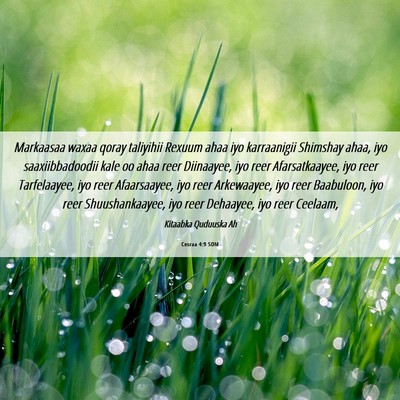 Picture 06 - Cesraa 4:9 SOM - Markaasaa waxaa qoray taliyihii Rexuum ahaa iyo - Bible Verse Picture
