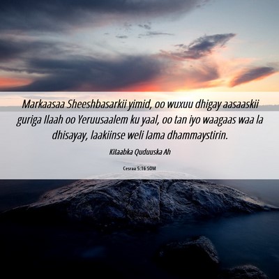 Picture 06 - Cesraa 5:16 SOM - Markaasaa Sheeshbasarkii yimid, oo wuxuu dhigay - Bible Verse Picture
