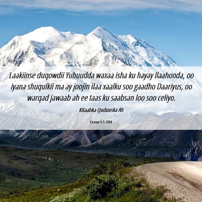 Picture 06 - Cesraa 5:5 SOM - Laakiinse duqowdii Yuhuudda waxaa isha ku hayay - Bible Verse Picture