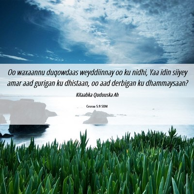 Picture 06 - Cesraa 5:9 SOM - Oo waxaannu duqowdaas weyddiinnay oo ku nidhi, - Bible Verse Picture