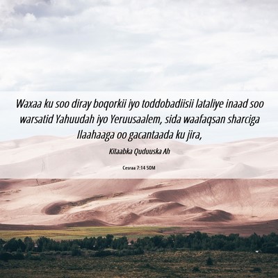 Picture 06 - Cesraa 7:14 SOM - Waxaa ku soo diray boqorkii iyo toddobadiisii - Bible Verse Picture