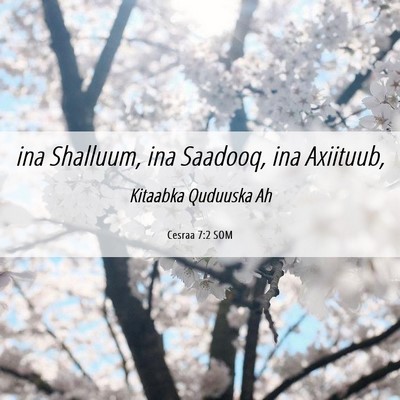 Picture 06 - Cesraa 7:2 SOM - ina Shalluum, ina Saadooq, ina - Bible Verse Picture