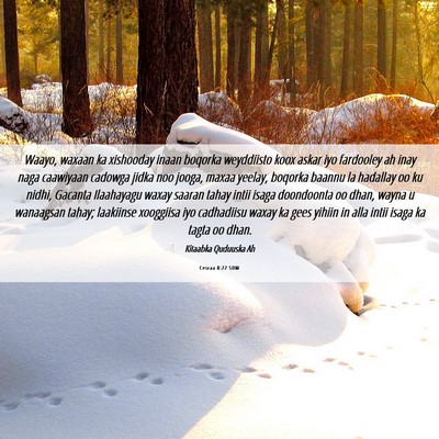 Picture 06 - Cesraa 8:22 SOM - Waayo, waxaan ka xishooday inaan boqorka - Bible Verse Picture