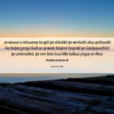 Picture 06 - Cesraa 8:25 SOM - oo waxaan u miisaamay lacagtii iyo dahabkii iyo - Bible Verse Picture