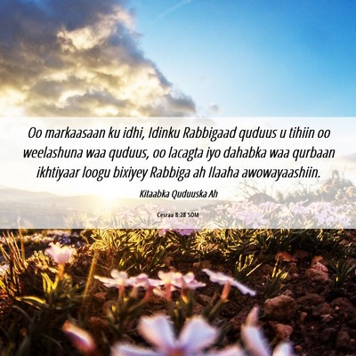 Picture 06 - Cesraa 8:28 SOM - Oo markaasaan ku idhi, Idinku Rabbigaad quduus u - Bible Verse Picture
