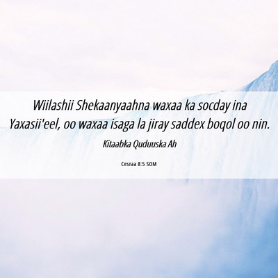 Picture 06 - Cesraa 8:5 SOM - Wiilashii Shekaanyaahna waxaa ka socday ina - Bible Verse Picture