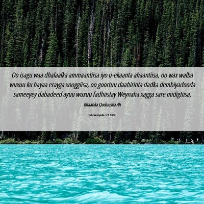 Picture 06 - Cibraaniyada 1:3 SOM - Oo isagu waa dhalaalka ammaantiisa iyo u-ekaanta - Bible Verse Picture