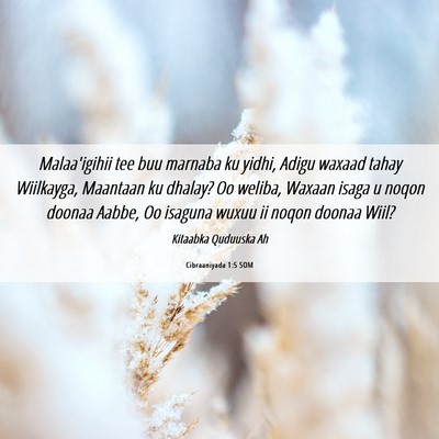 Picture 06 - Cibraaniyada 1:5 SOM - Malaa'igihii tee buu marnaba ku yidhi, Adigu - Bible Verse Picture