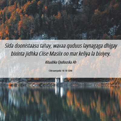 Picture 06 - Cibraaniyada 10:10 SOM - Sida doonistaasu tahay, waxaa quduus laynagaga - Bible Verse Picture