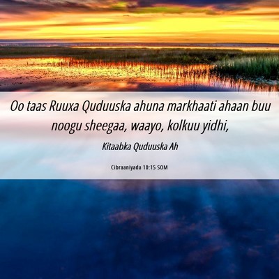 Picture 06 - Cibraaniyada 10:15 SOM - Oo taas Ruuxa Quduuska ahuna markhaati ahaan buu - Bible Verse Picture