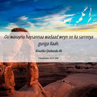 Picture 06 - Cibraaniyada 10:21 SOM - Oo waxaynu haysannaa wadaad weyn oo ka sarreeya - Bible Verse Picture
