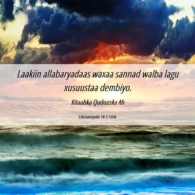 Picture 06 - Cibraaniyada 10:3 SOM - Laakiin allabaryadaas waxaa sannad walba lagu - Bible Verse Picture