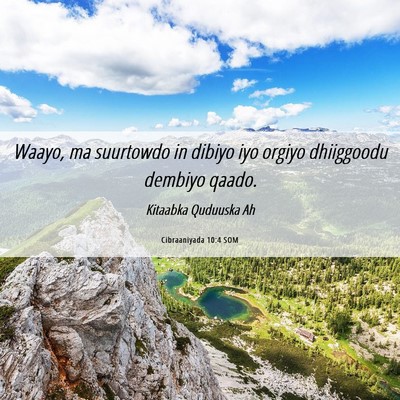Picture 06 - Cibraaniyada 10:4 SOM - Waayo, ma suurtowdo in dibiyo iyo orgiyo - Bible Verse Picture
