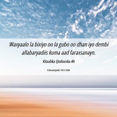 Picture 06 - Cibraaniyada 10:6 SOM - Waxyaalo la bixiyo oo la gubo oo dhan iyo dembi - Bible Verse Picture