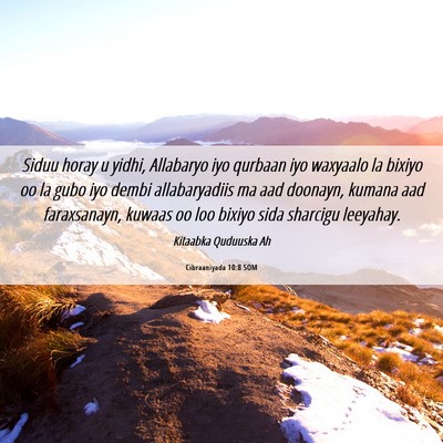 Picture 06 - Cibraaniyada 10:8 SOM - Siduu horay u yidhi, Allabaryo iyo qurbaan iyo - Bible Verse Picture