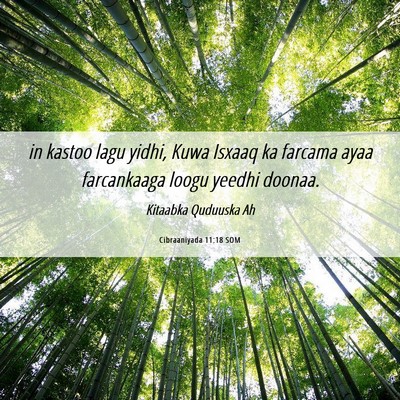 Picture 06 - Cibraaniyada 11:18 SOM - in kastoo lagu yidhi, Kuwa Isxaaq ka farcama ayaa - Bible Verse Picture