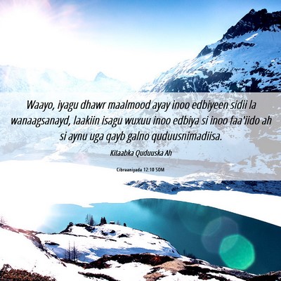 Picture 06 - Cibraaniyada 12:10 SOM - Waayo, iyagu dhawr maalmood ayay inoo edbiyeen - Bible Verse Picture