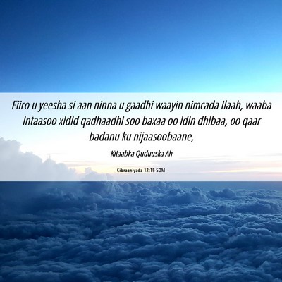 Picture 06 - Cibraaniyada 12:15 SOM - Fiiro u yeesha si aan ninna u gaadhi waayin - Bible Verse Picture
