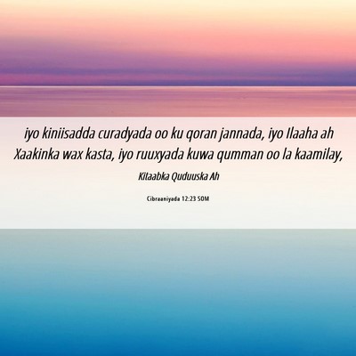 Picture 06 - Cibraaniyada 12:23 SOM - iyo kiniisadda curadyada oo ku qoran jannada, iyo - Bible Verse Picture