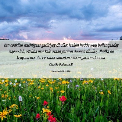 Picture 06 - Cibraaniyada 12:26 SOM - kan codkiisii wakhtigaas gariiriyey dhulka; - Bible Verse Picture