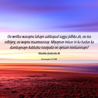 Picture 06 - Cibraaniyada 12:9 SOM - Oo weliba waxaynu lahayn aabbayaal xagga jidhka - Bible Verse Picture