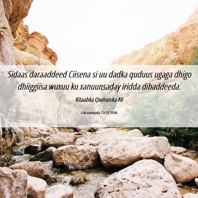 Picture 06 - Cibraaniyada 13:12 SOM - Sidaas daraaddeed Ciisena si uu dadka quduus - Bible Verse Picture